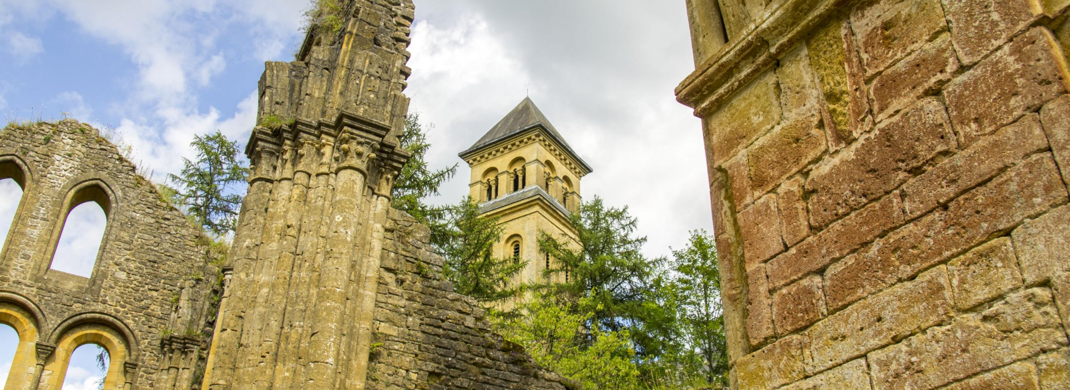 Les ruines d'Orval