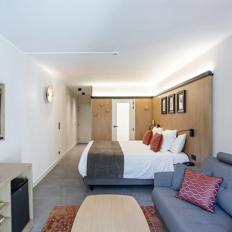 Room level 1 ardiliières du pont d'oye