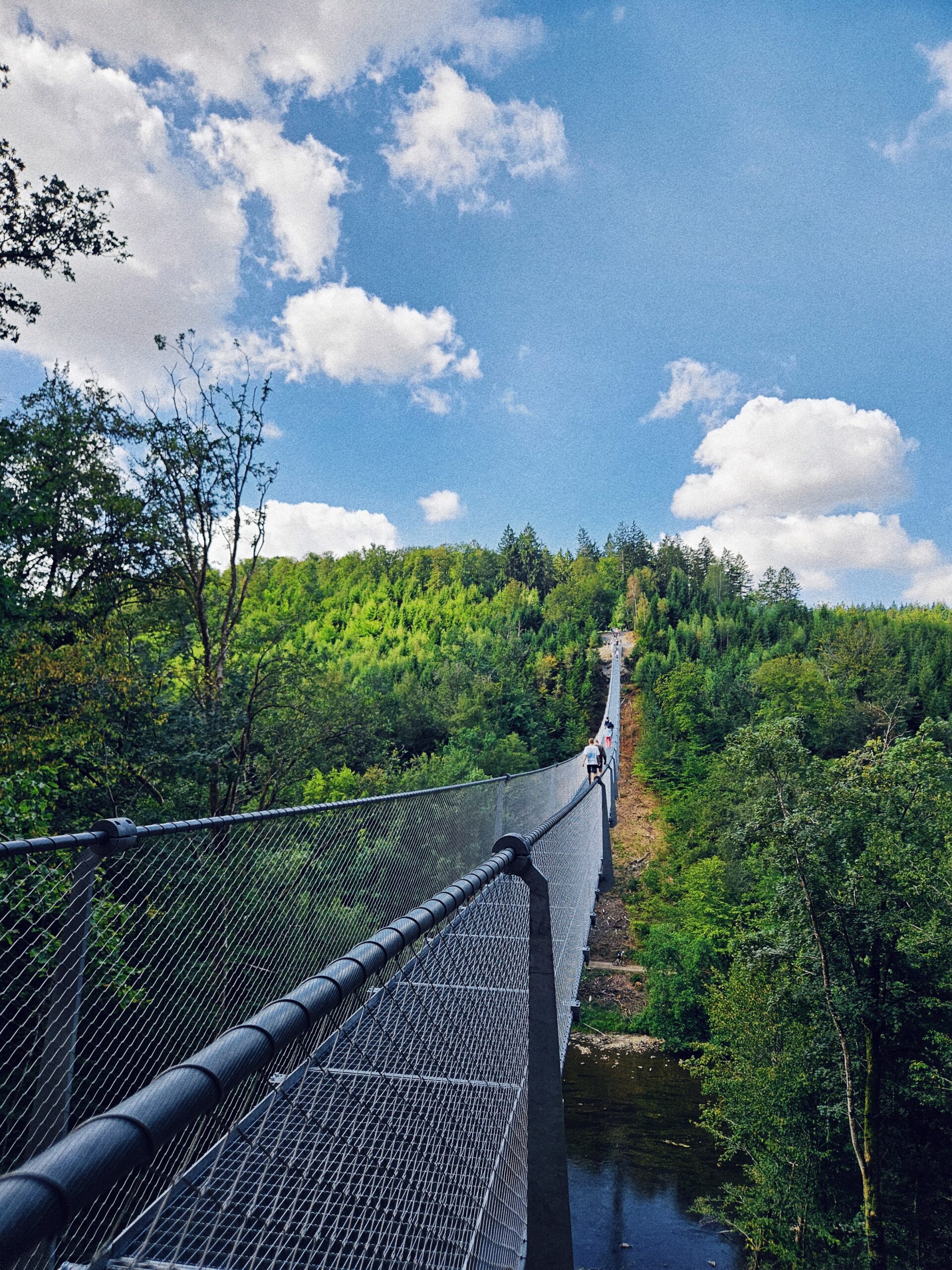 Passerelle himalayenne de Sainte-Cécile : une randonnée à découvrir depuis Habay